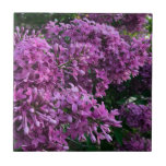 Carreau lilas rose violet | photo florale rose romantique<br><div class="desc">L'odeur du printemps est dans l'air ! - romantique rose violet lilas photo par H Cooper</div>