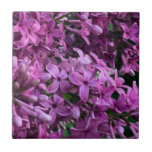 Carreau lilas rose violet | photo florale rose romantique<br><div class="desc">L'odeur du printemps est dans l'air ! - romantique rose violet lilas photo par H Cooper</div>