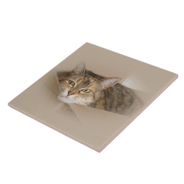 Carreau Lily #2 (Côté)