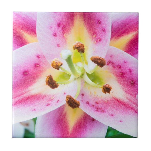 Carreau Lily en gros plan (Devant)