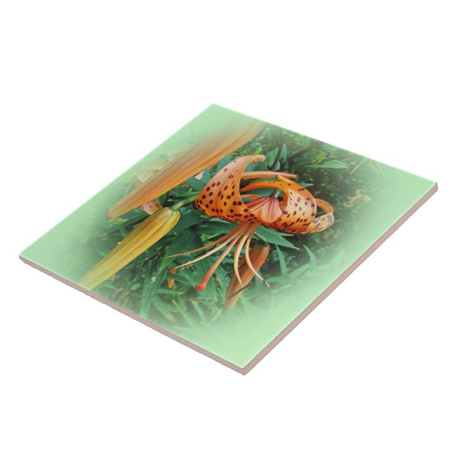 Carreau Lily Fleur sauvage, Casquette de Turk (Côté)