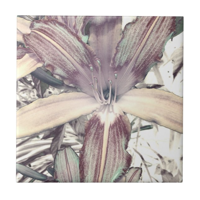 Carreau Lily Love (Devant)