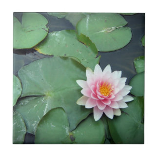 Carreau Lily Pad Pond Flower, Pink et Green Photo Tile