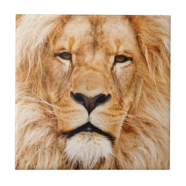 Carreau Lion (Devant)