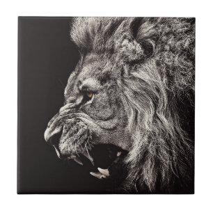 Carreau Lion homme en colère