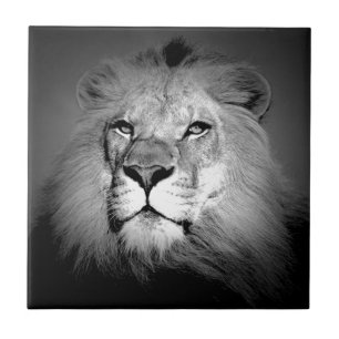 Carreau Lion noir et blanc
