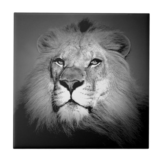 Carreau Lion noir et blanc (Devant)