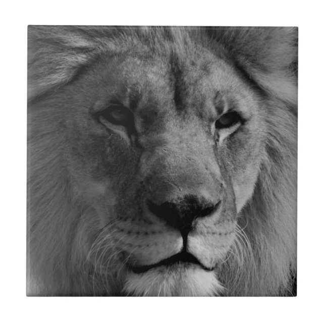 Carreau Lion noir et blanc (Devant)