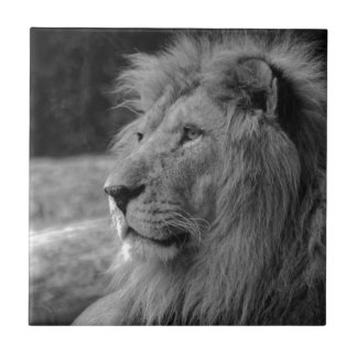 Carreau Lion noir et blanc - Animal sauvage