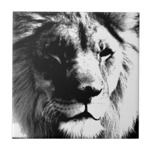 Carreau Lion noir et blanc - Art de la photographie animal