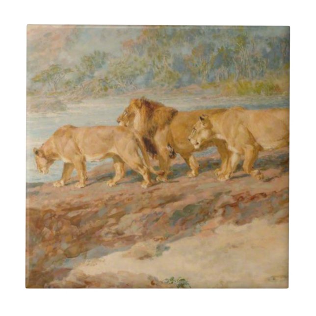 Carreau Lions sur la rive d'un fleuve africain (Devant)
