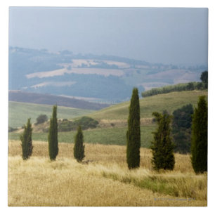 Carreau L'Italie. La Toscane. Pienza.