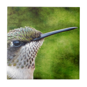Carreau Little Hummer