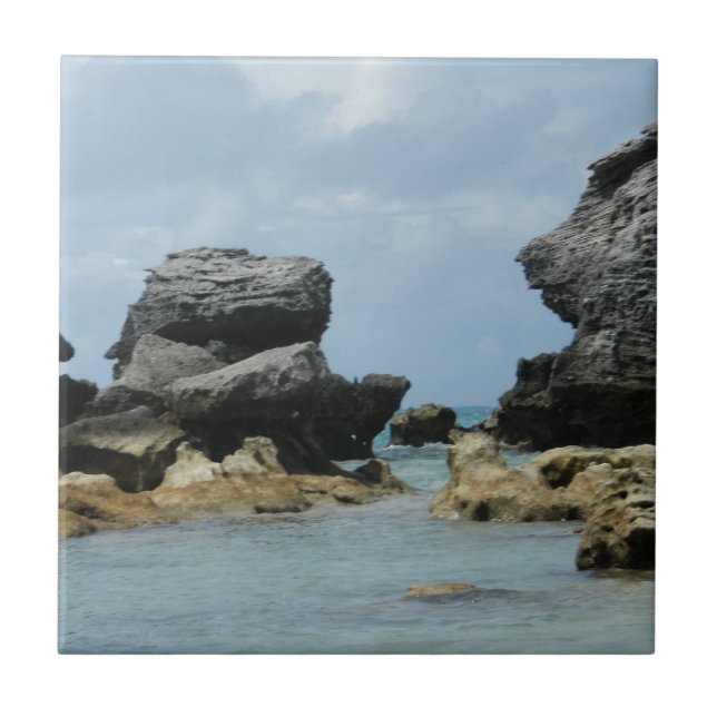 Carreau Littoral des Bermudes (Devant)