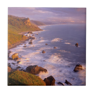 Carreau Littoral des séquoias, Californie
