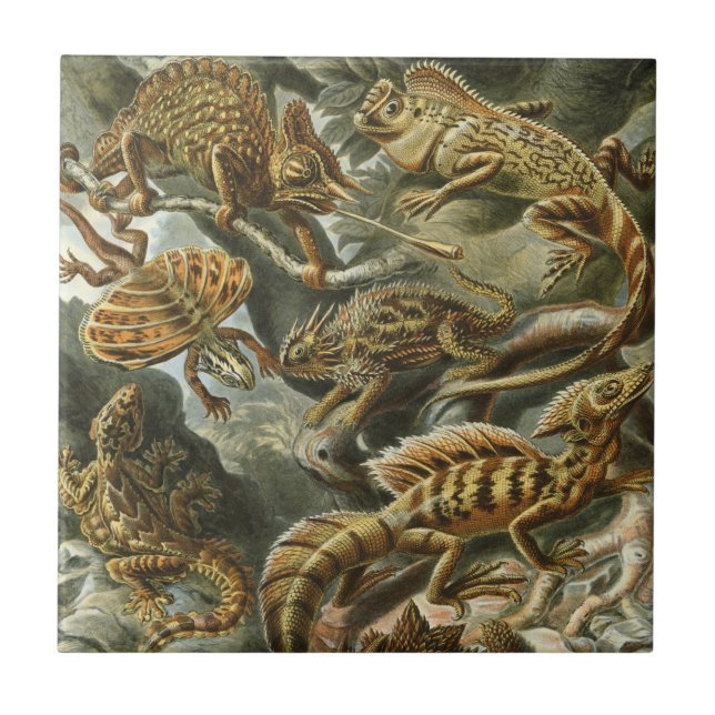 Carreau Lizards par Ernst Haeckel Vintage Lacertilia Anima (Devant)