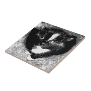 Carreau L'observateur silencieux