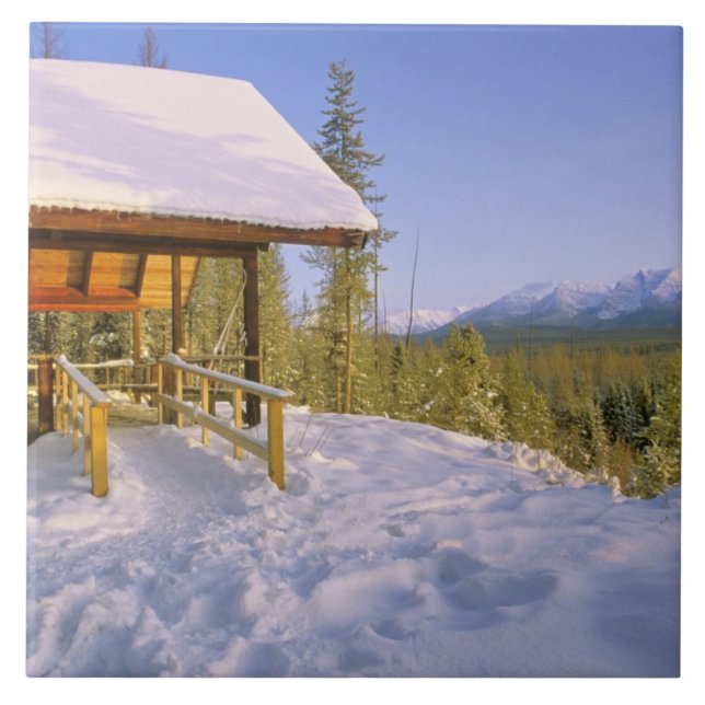 Carreau Location de la cabane USFS Schnauss en hiver surpl (Devant)