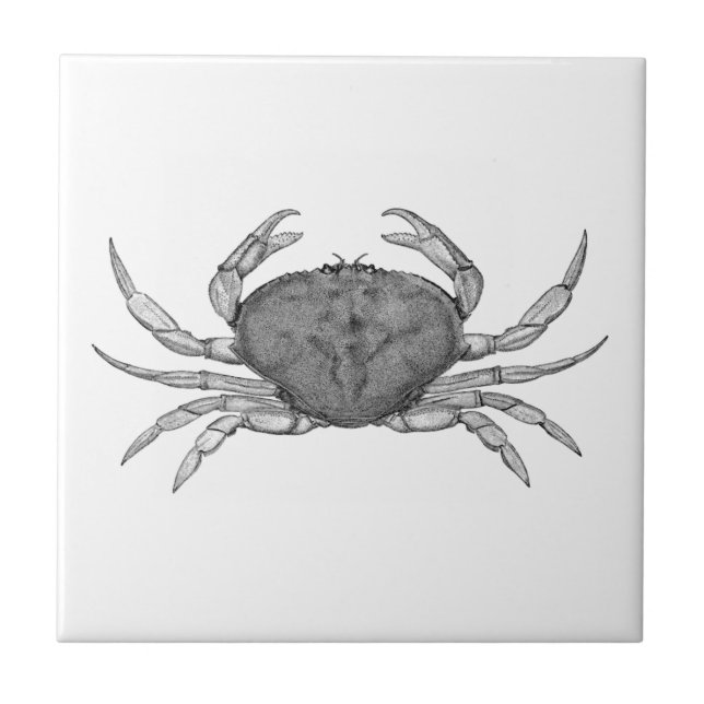 Carreau Logo de crabe de Dungeness (schéma) (Devant)