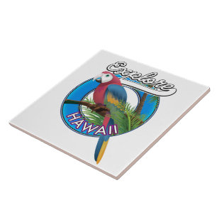 Carreau Logo rétro Explorer Hawaï