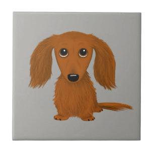 Carreau Long Haired Dachshund Doxie mignon chien de dess