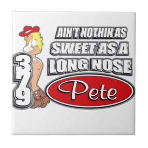 Carreau Long Nez Pete