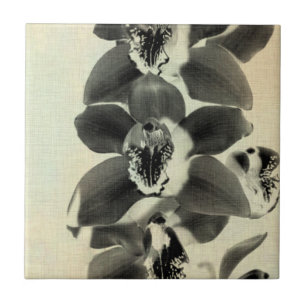 Carreau L'orchidée rougissent des panneaux IV
