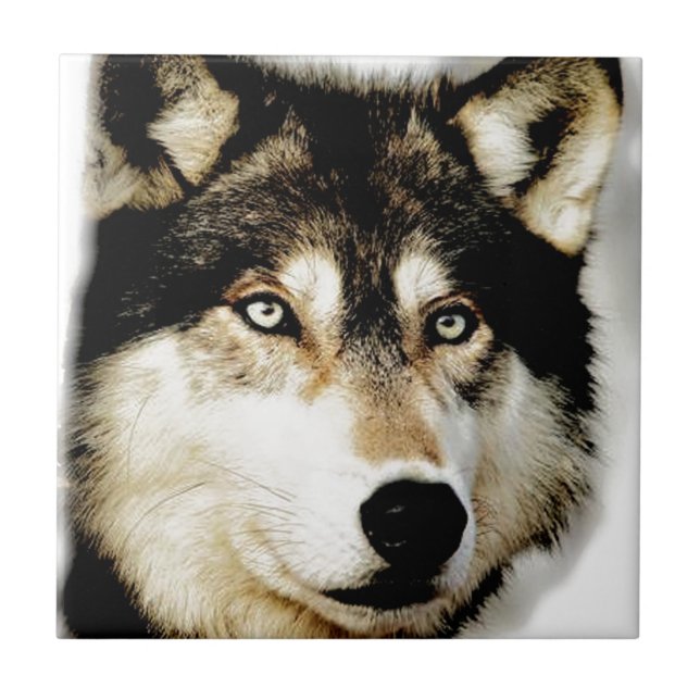 Carreau Loup motivationnel unique (Devant)