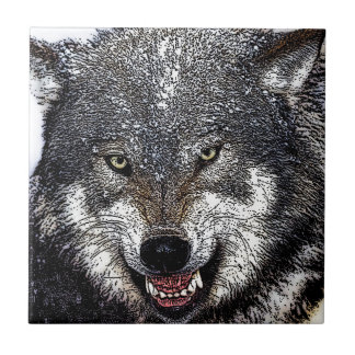 Carreau Loup sauvage
