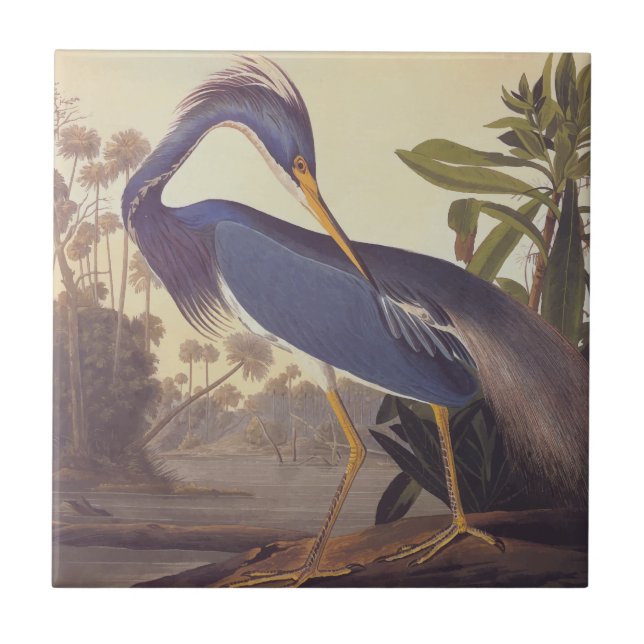 Carreau Lousiana Heron en gris, vert et bleu par Audubon (Devant)