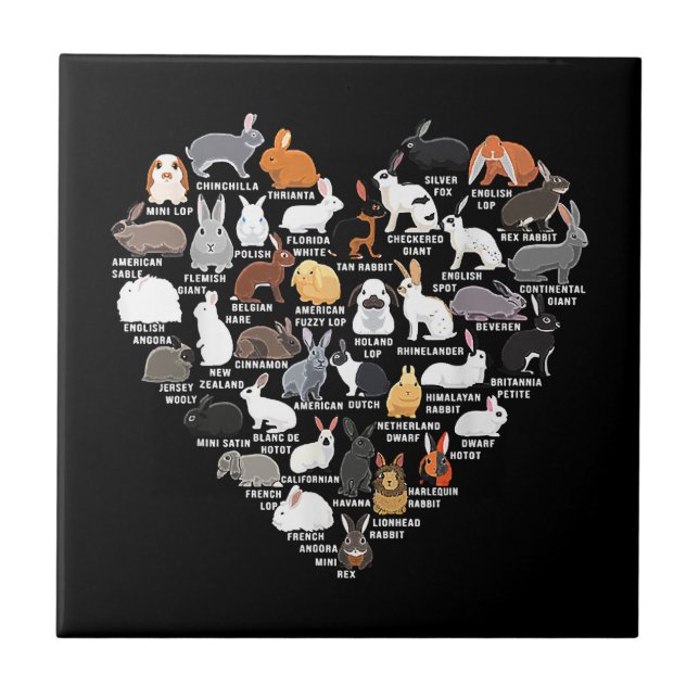Carreau Love Bunnies Funny Coeur lapin (Devant)