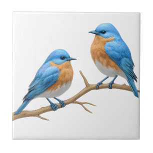 Carreau Lovebirds d'ivoire doux Romantique Bluebirds Maria