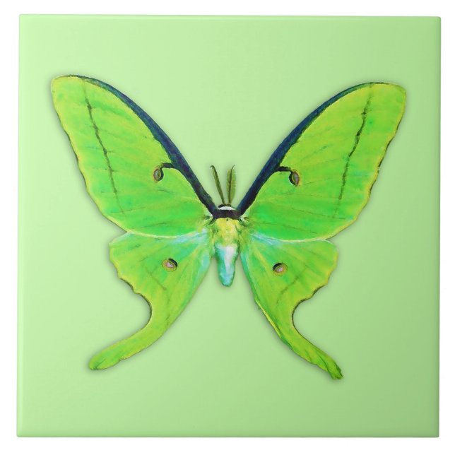 Carreau Luna moth sur un arrière - plan vert pâle (Devant)