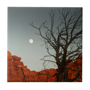 Carreau Lune mauvaise