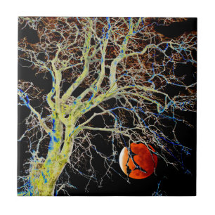 Carreau Lune rouge montante