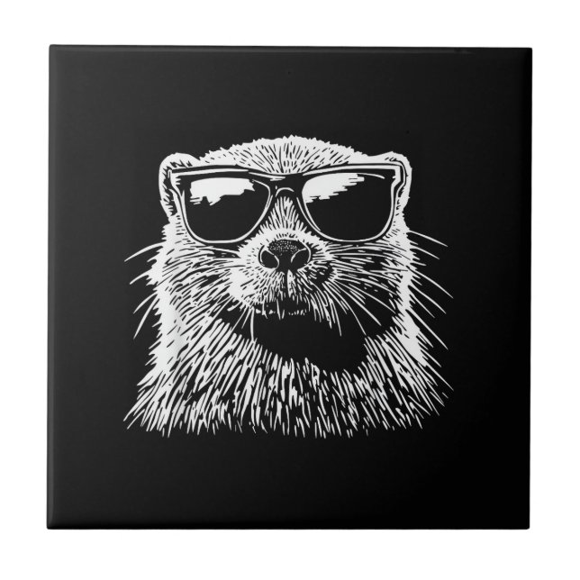 Carreau Lunettes de soleil de castor (Devant)