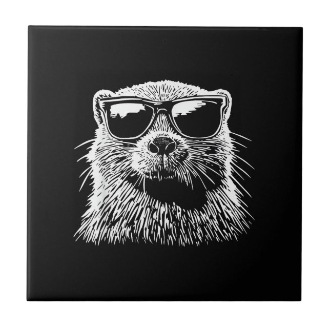 Carreau Lunettes de soleil de castor (Devant)