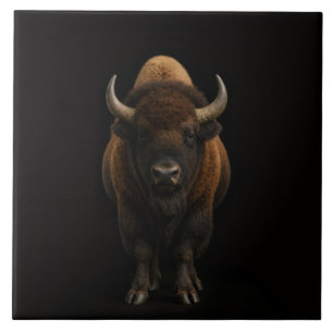 Carreau Luxe Noir 4 avec Bison d'Amérique