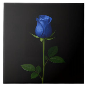 Carreau Luxe Noir 4 avec Rose Bleue de Minuit