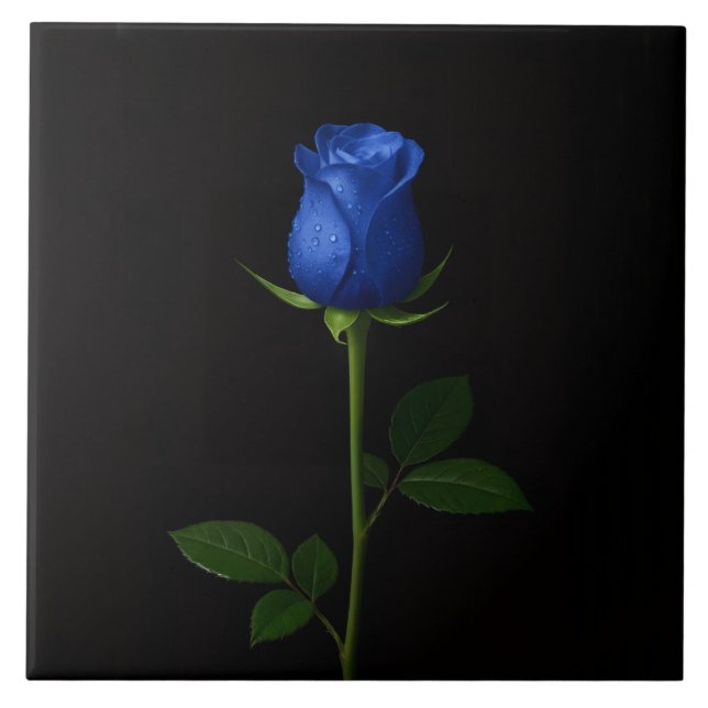 Carreau Luxe Noir 4 avec Rose Bleue de Minuit (Devant)