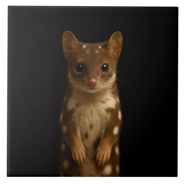 Carreau Luxe Noir 4 avec Sweet Quoll (Devant)