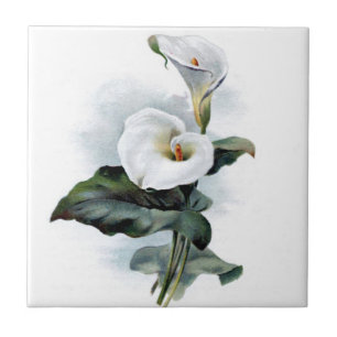 Carreau Lys calla vintage