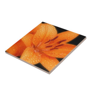 Carreau Lys de tigre asiatique baisés par la pluie