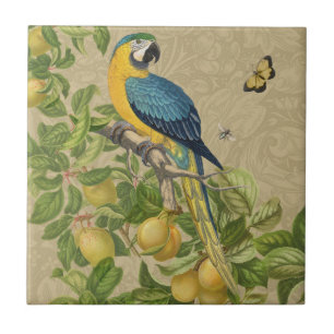 Carreau Macaw Blue Jaune Tropical Jungle Antique