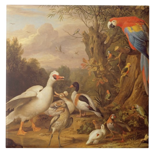 Carreau Macaw, Canards, perroquets et autres oiseaux sur u (Devant)