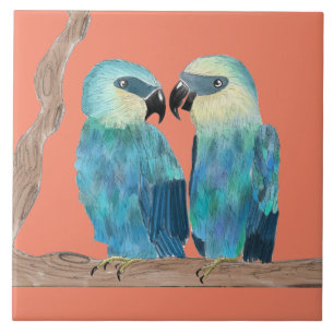 Carreau Macaws de Spix sur un carrelage en céramique - (O)