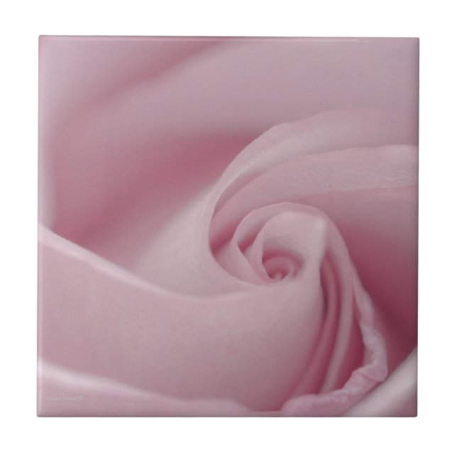 Carreau Macro rose (Devant)