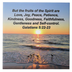 CARREAU MAGNIFIQUE GALATIANS 5 SUNRISE