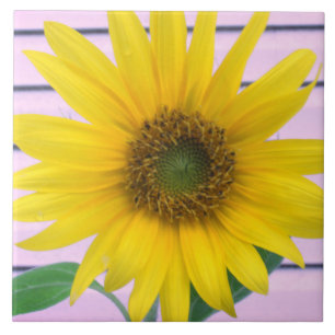 Carreau Magnifique tournesol jaune en fleurs l'été