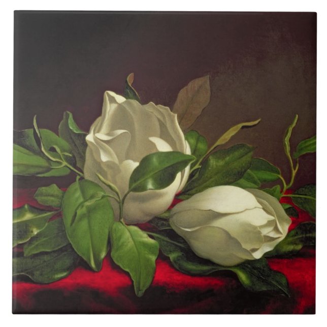 Carreau Magnolia (Devant)